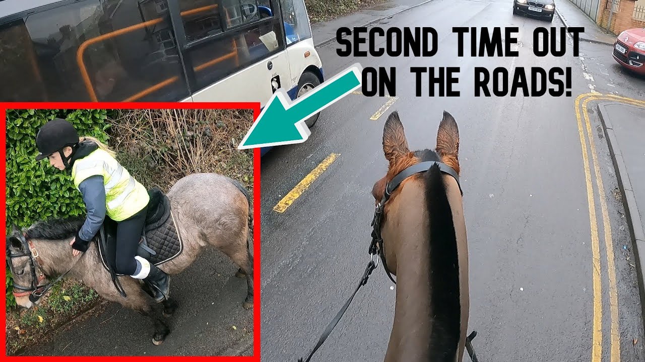 BENJI'S SECOND TIME ON THE ROADS! | GOPRO HACK | THATOLLIEPONY