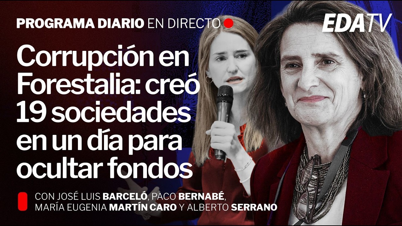 Corrupción en Forestalia: creó 19 sociedades en un día para ocultar fondos
