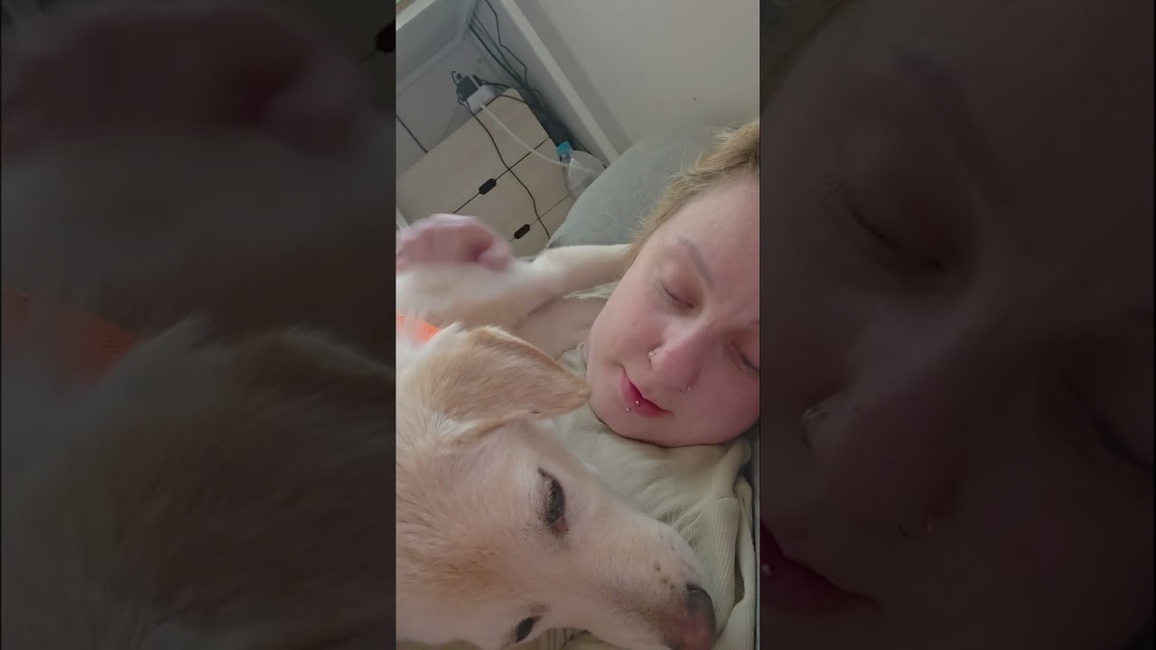 28th vlog / 2025-12-30 / puppy cuddles / chatting about the dogs