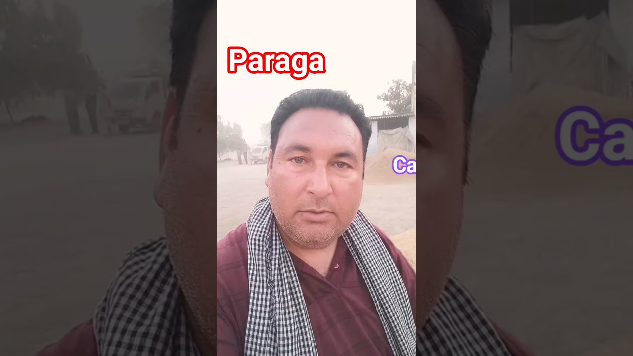 Paraga Capsule 300 Power ! #paragacapsule #paraga300 #nasha #dode #shahkotcity #shahkot