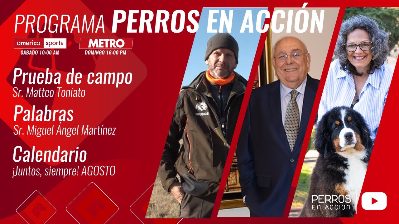 “Perros en acción”  Programa Nº 528
