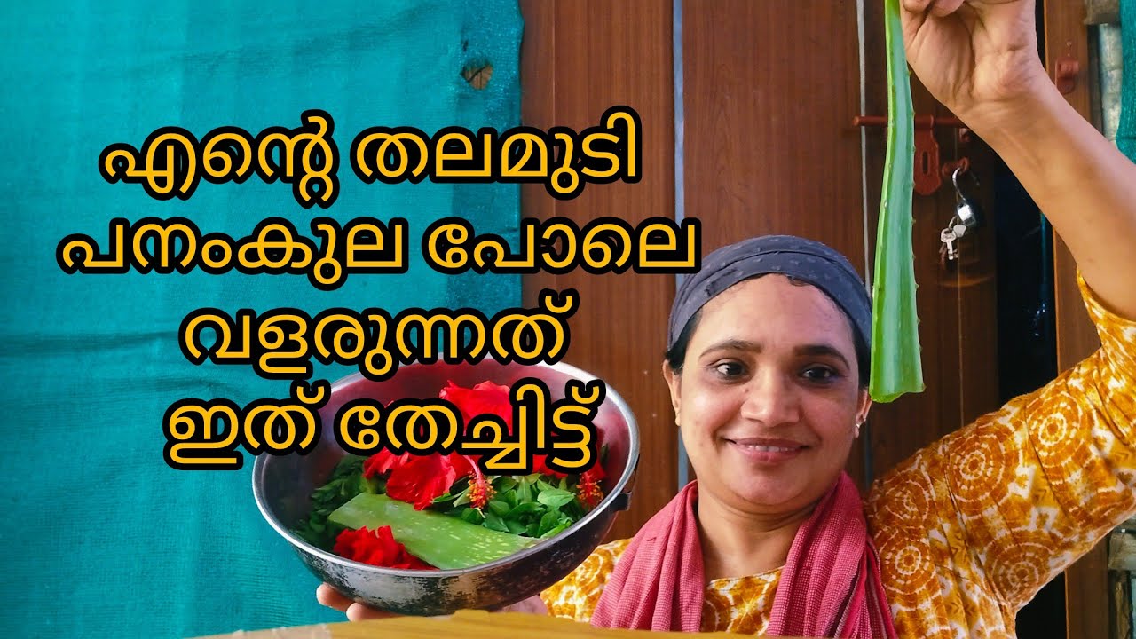 തലമുടി പനങ്കുലപോലെ വളരണം ഞാൻ ഇങ്ങനെ ചെയ്യല് എന്റെ തലമുടി നല്ല സോഫ്റ്റ് ആണ് ഇഴകളൊക്കെ കാണാൻ നല്ല 