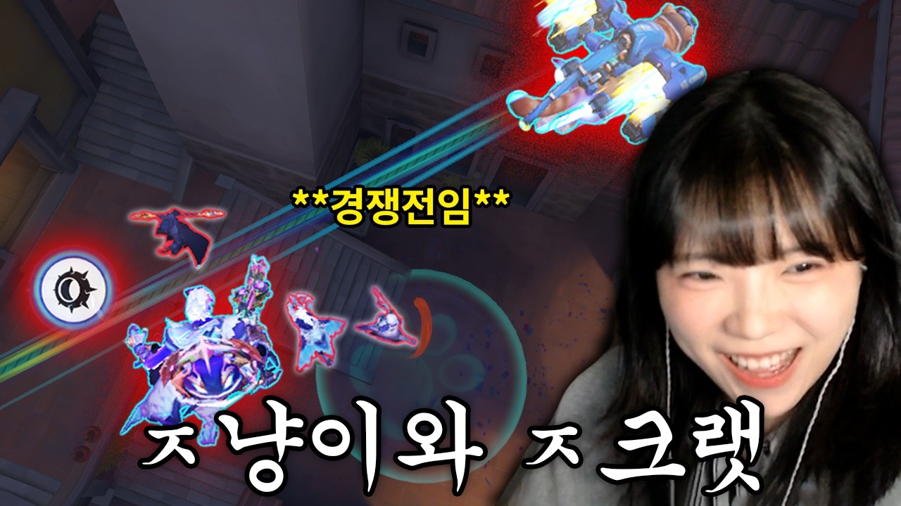갈 때까지 가버린 고양이 사용법