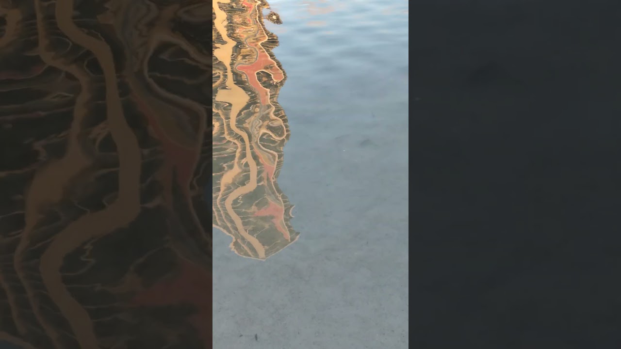 Lab Report in a Nutshell 143 (Fish in a Pond)