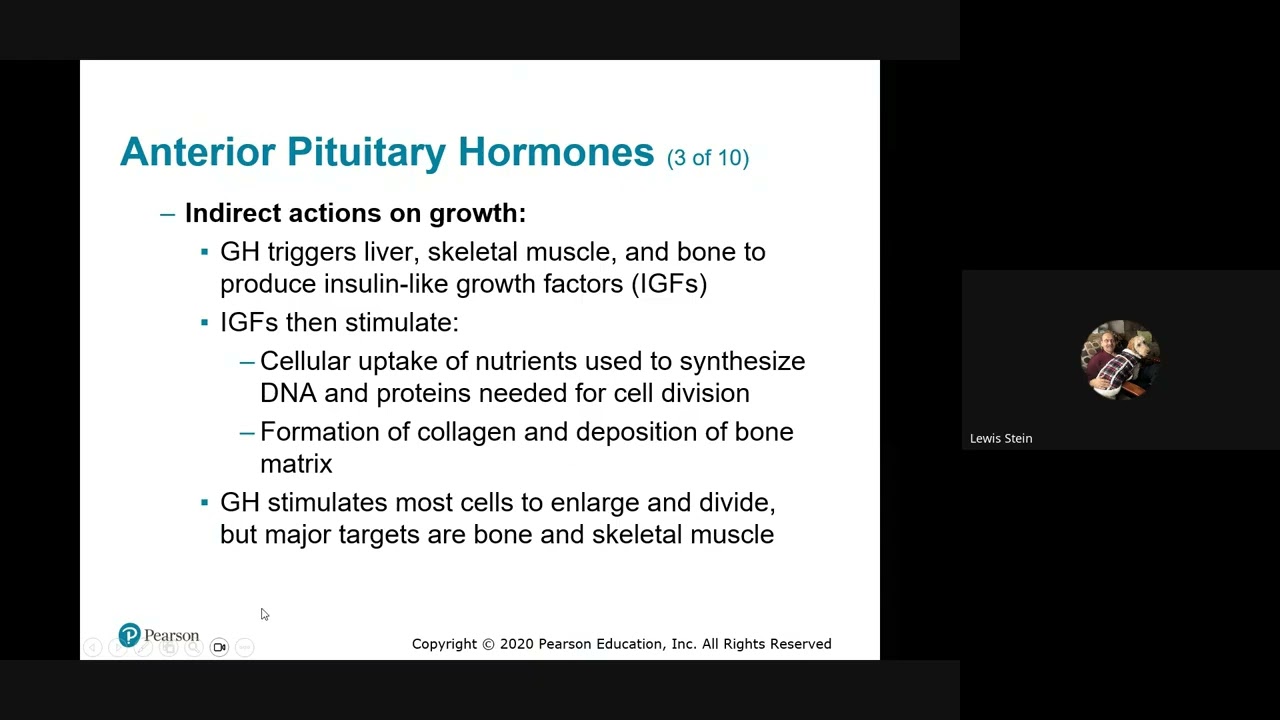Advanced Physiology   2026 02 25 13 51 EST   Recording