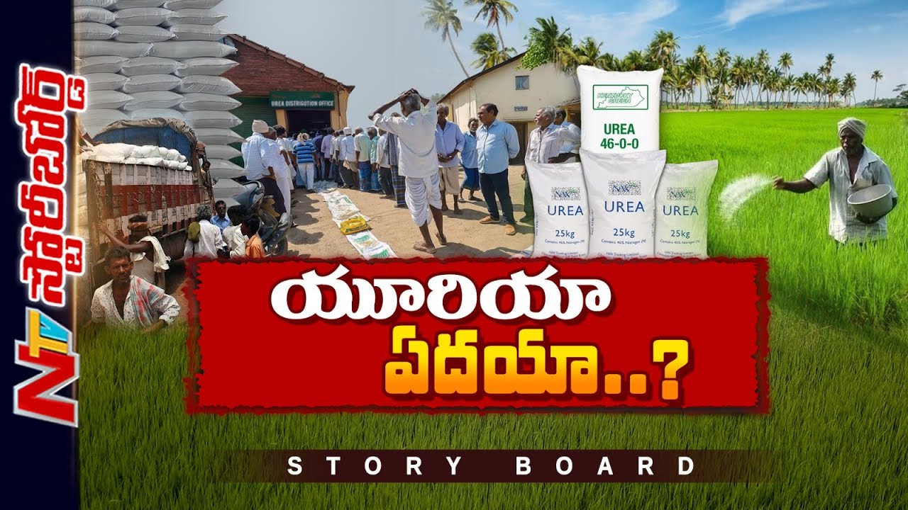 దేశంలో యూరియా కొరత ఎందుకు వచ్చింది..? | Urea Shortage | Storyboard | NTV Telugu
