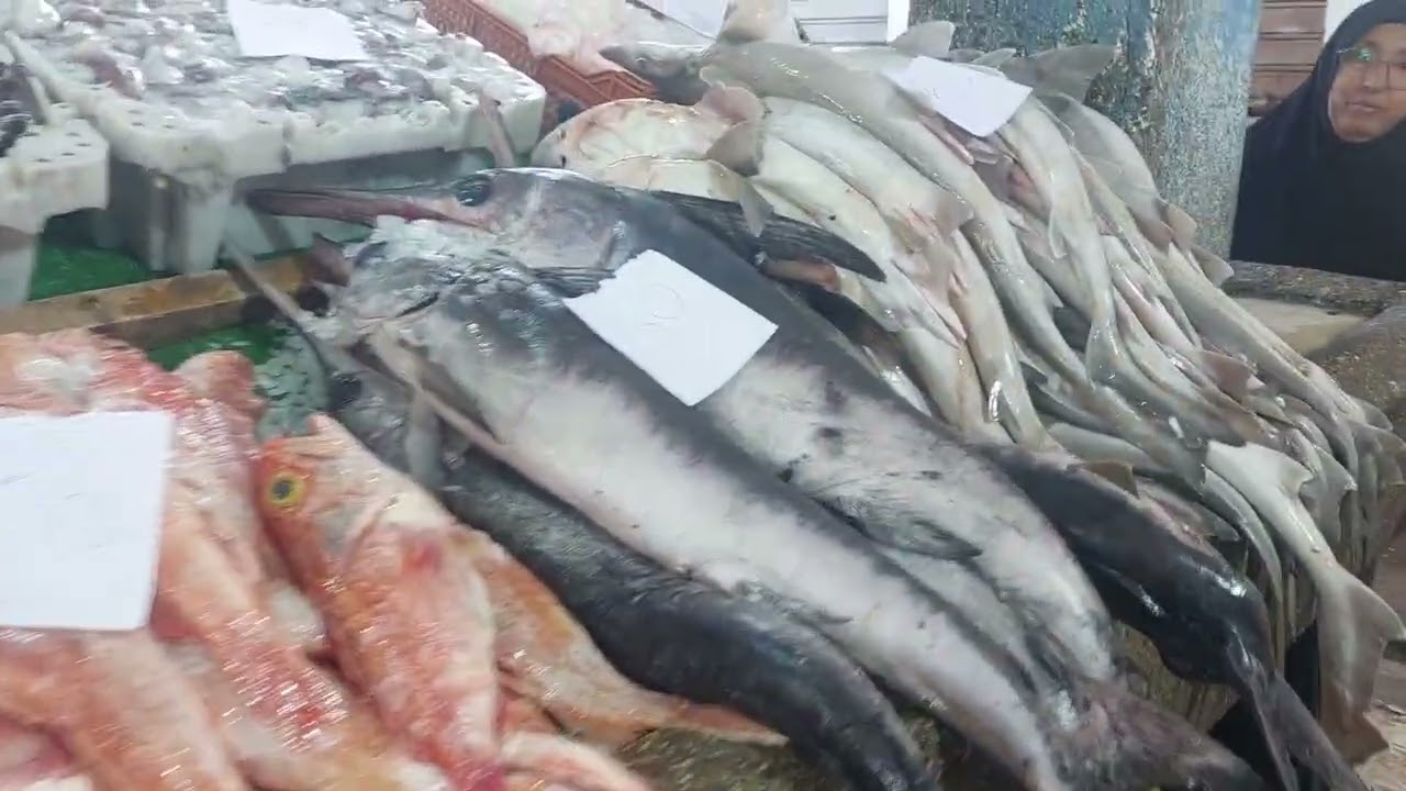 مرحبا بالجميع ليوم 17/03/26 قمرون 60dh ميرنا فريتور 70dh خير مجود دخلوا تسمعوا الأثمنة  0691463136