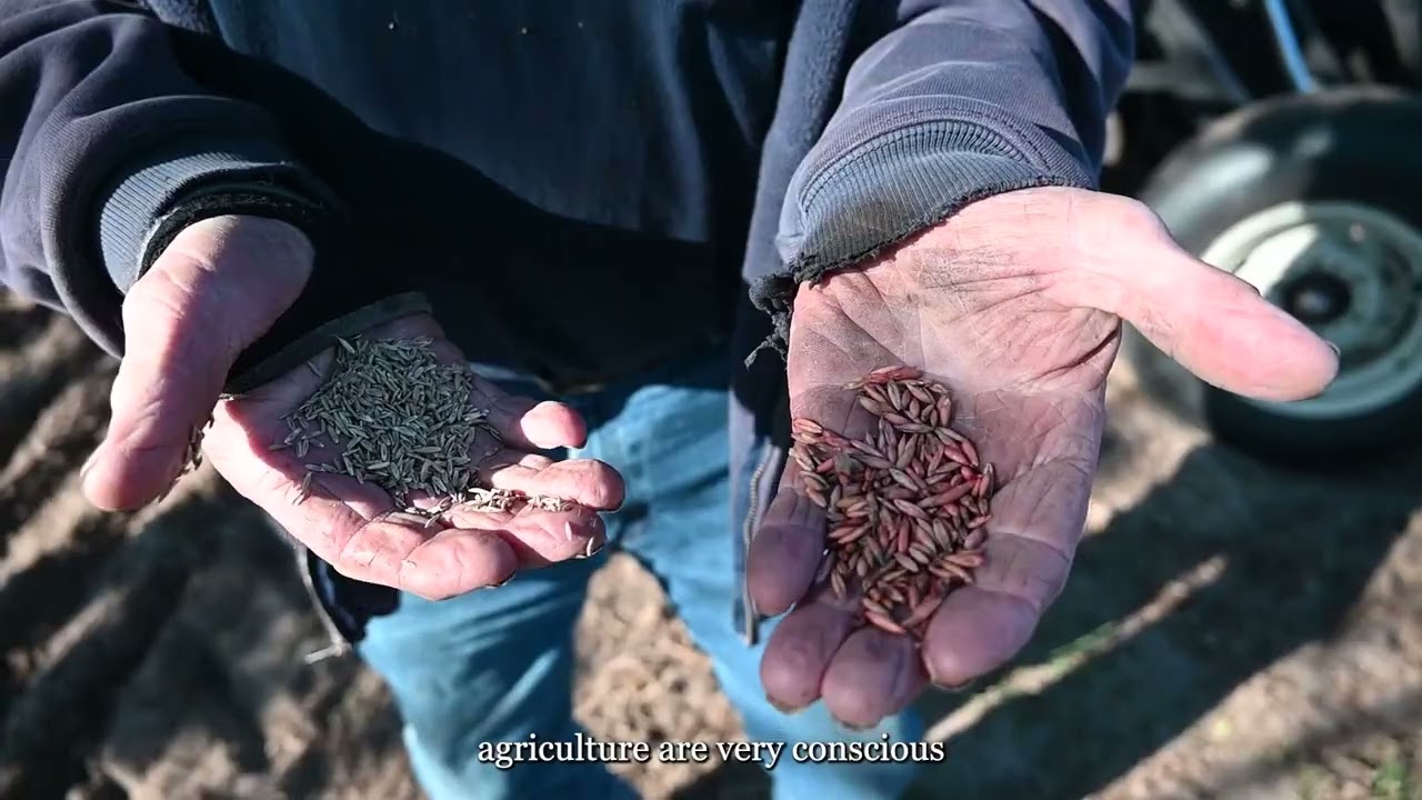 Results of Surface to Springs Regional Conservation Partnership Project (RCPP) - Stetson IWER & ACT