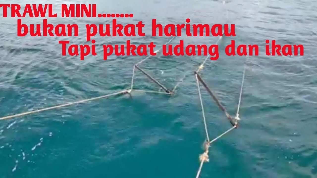 TRAWL MINI hampir mirip dengan pukat harimau @rumbaifishing31