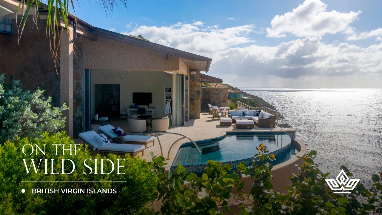 Hidden Gem in the Caribbean: Luxury at the British Virgin Islands 🦩🌴