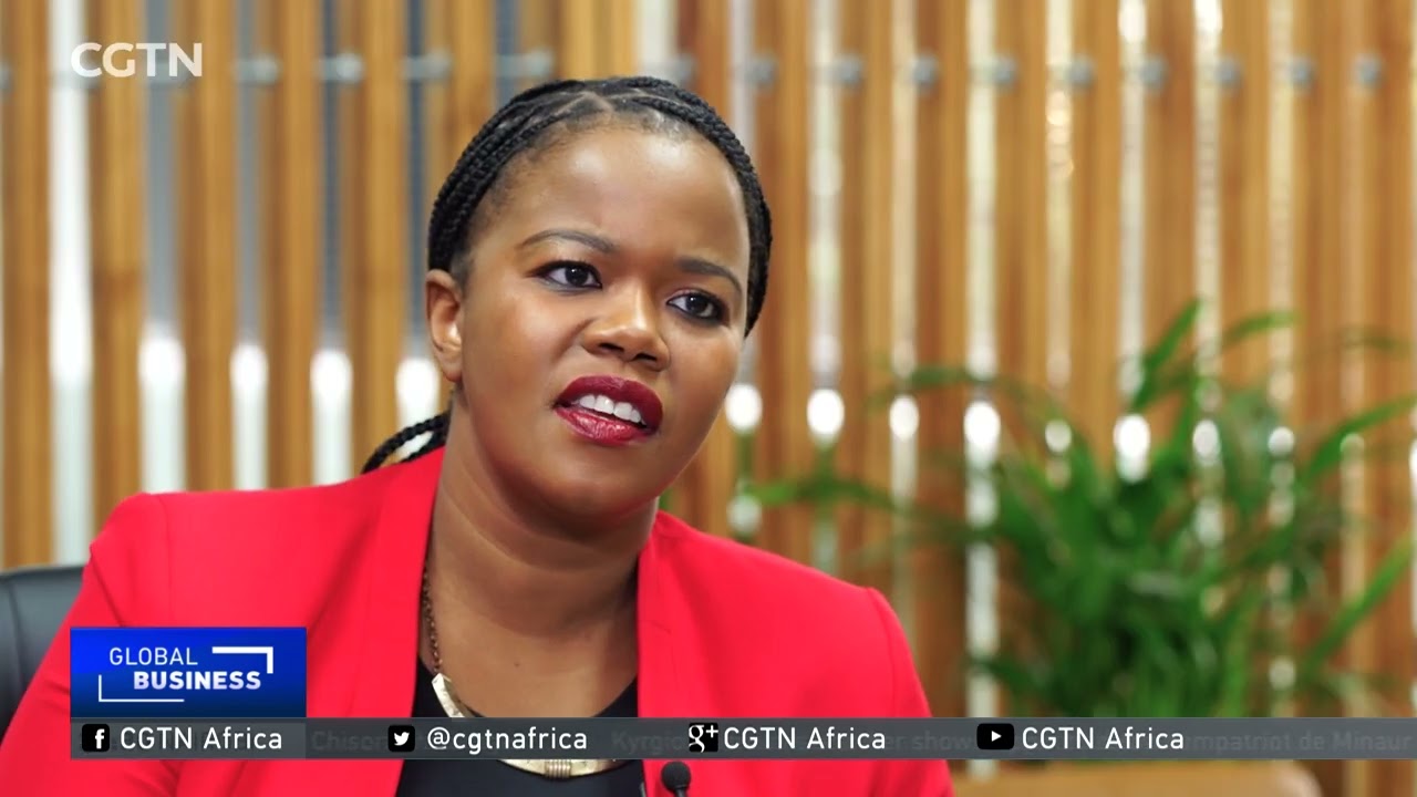 New Development Bank Africa’s head discusses institution’s operations, objectives
