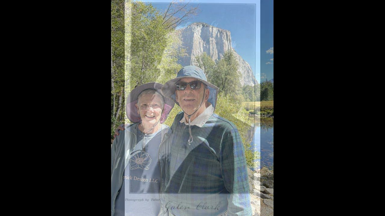 2026 RWB Bird Pictures Production #1   Yosemite National Park