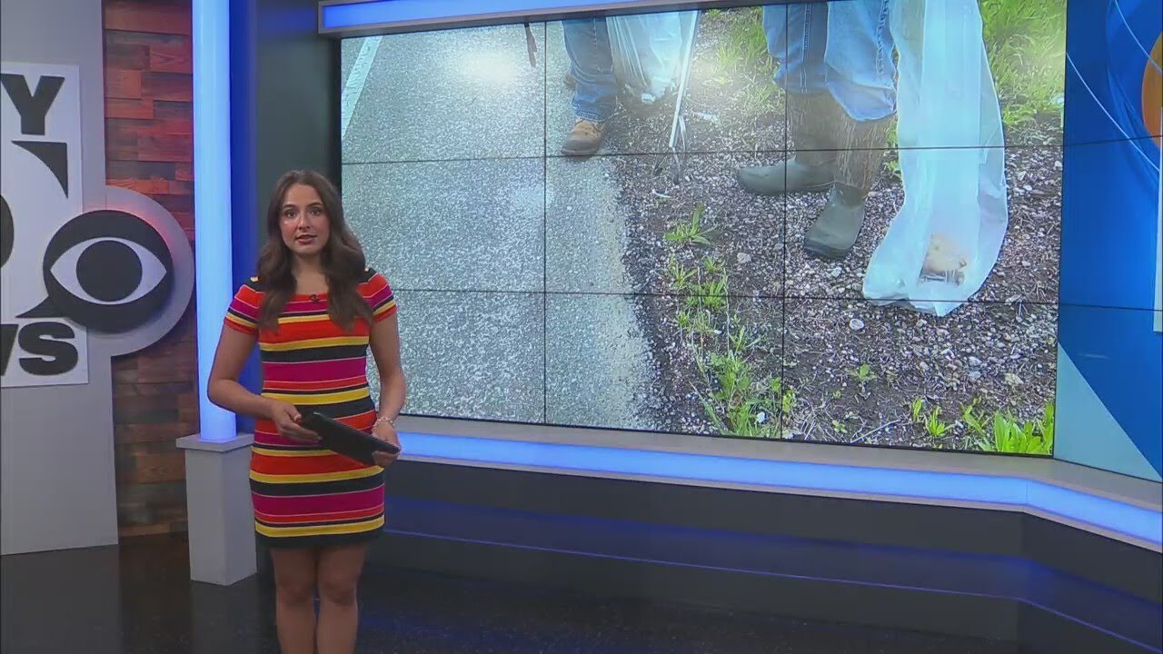 DOTD cleans Louisiana roads with 'Love the Boot' campaign