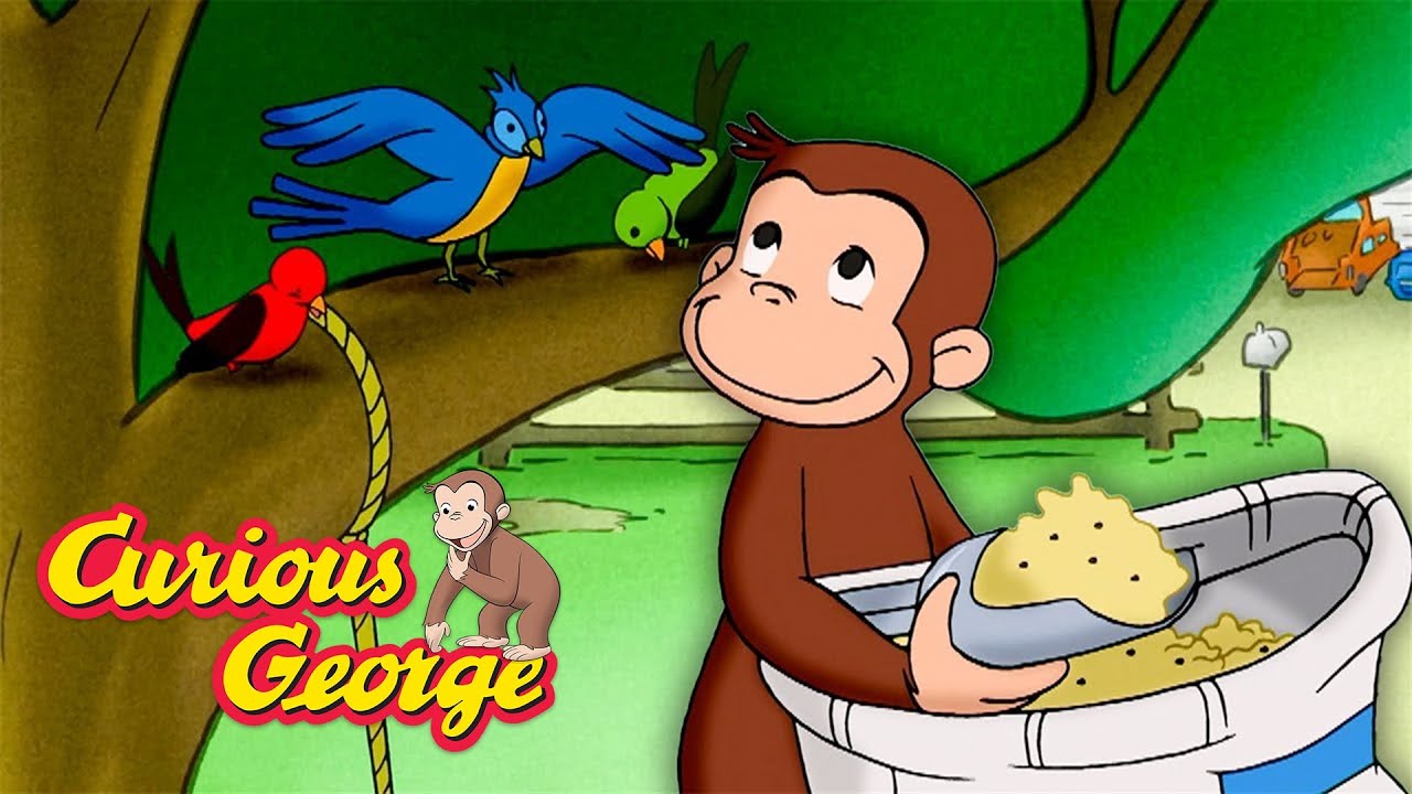 Let's Feed The Birds! 🐵 Curious George 🐵 Kids Cartoon 🐵 Kids Movies