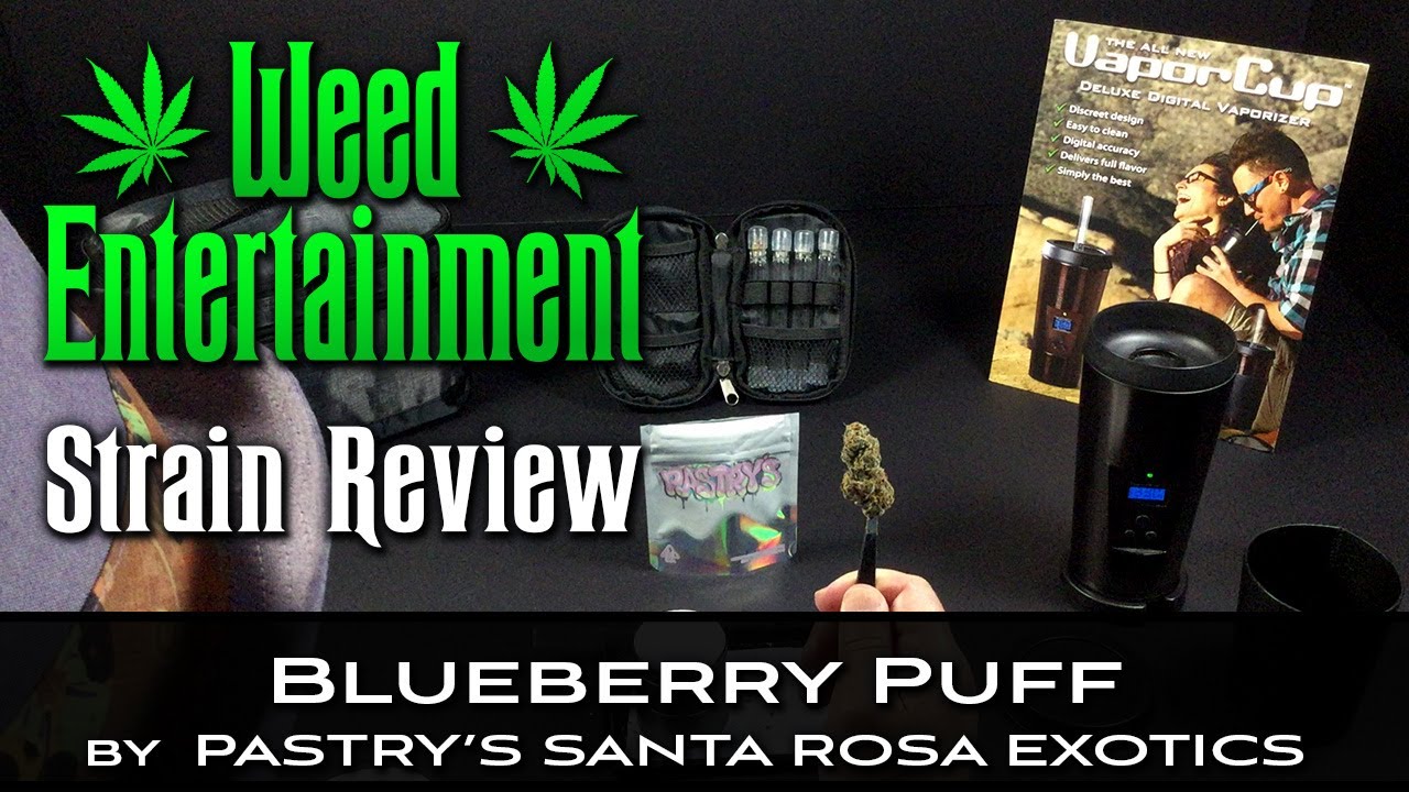 Blueberry Puff - Hybrid - by Pastry's Santa Rosa Exotics - Strain Review - from Muzeum, Van Nuys Ca