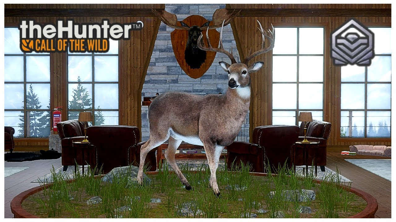 My FIRST DIAMOND on The Hunter: COTW