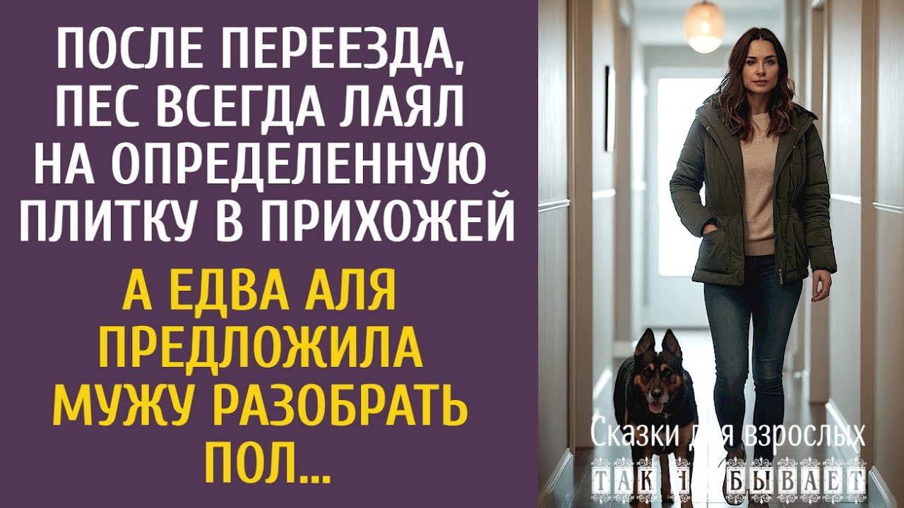 После переезда, пес лаял на определенную плитку в прихожей… А едва Аля предложила мужу разобрать пол
