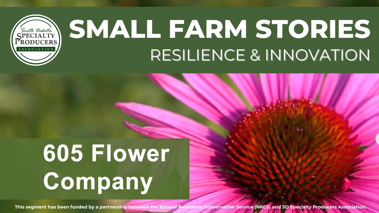 605 Flower Company, Small Farm Stories: Resilience and Innovation