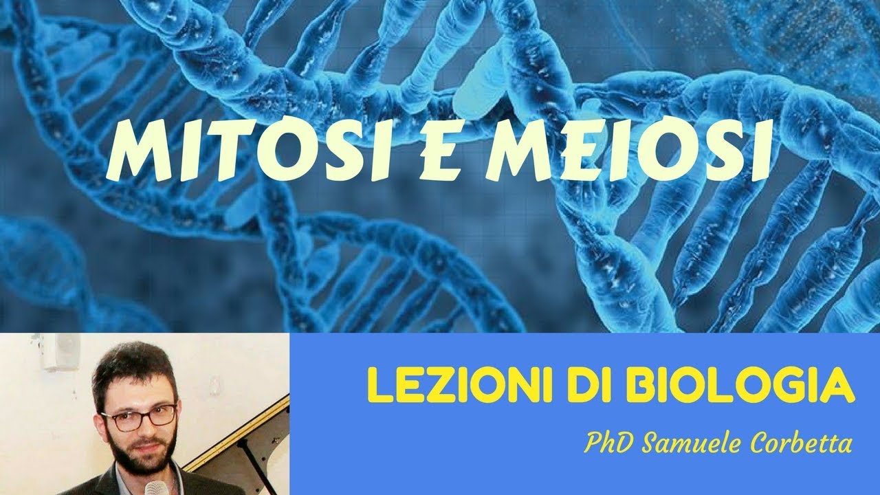 Mitosi e Meiosi - Lezioni di Biologia -