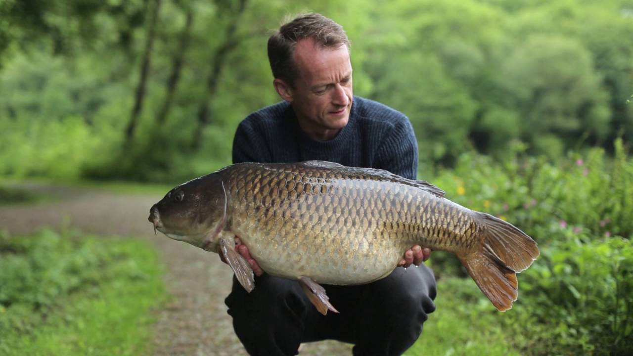 Mainline Baits TV Game Changer: That'll Be The Balanced Wafters