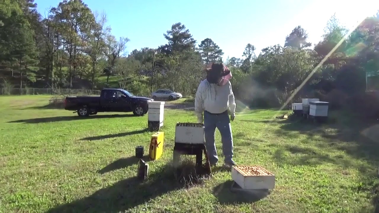 The Victor  Thermal Varroa Mite Treatment from GreenBeeHives com