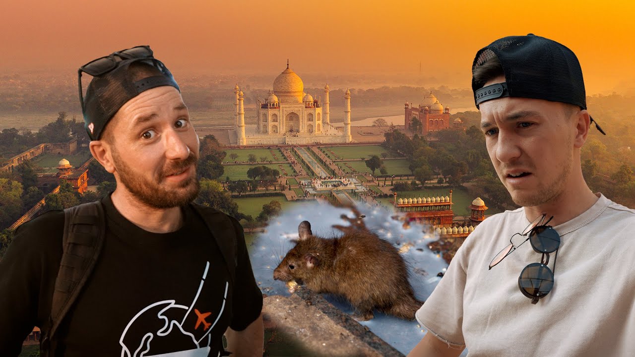 PODGANJI TEMPELJ | BitVlog #110