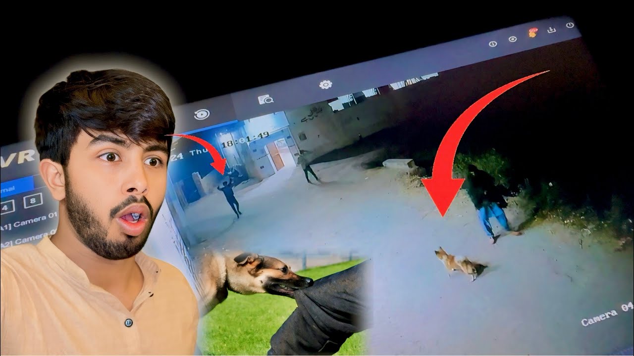 First Time CCTV Camera Kaam Ayaa 😂 Kutta Dawood Ke Piche Laag Gaya😂Zohaib Pendu | Zohaib Sabir Vlogs
