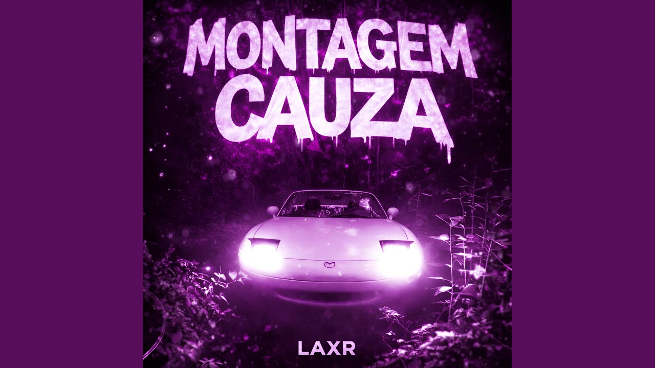 MONTAGEM CAUZA