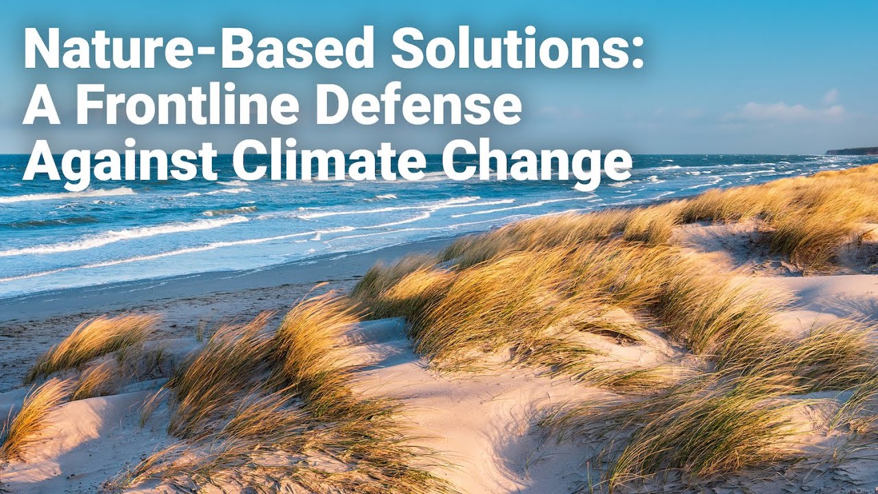 Nature-Based Solutions: A Frontline Defense Against Climate Change