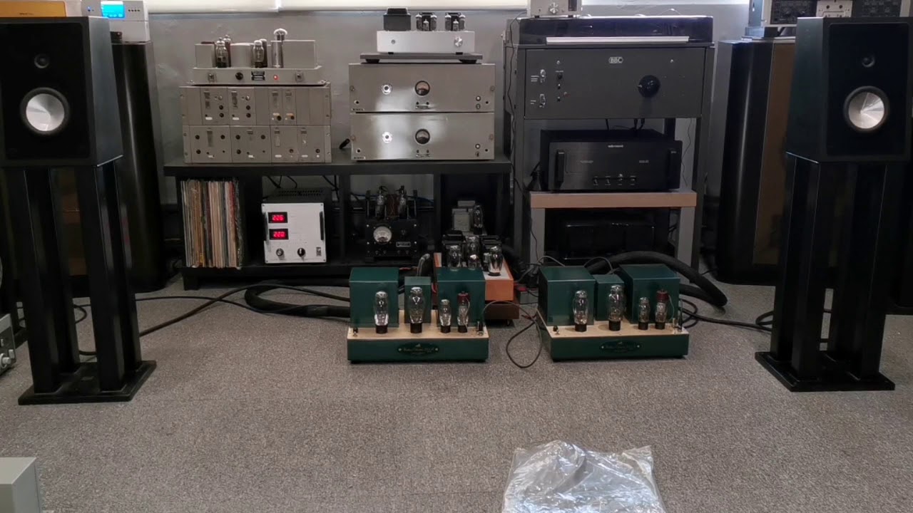 Shindolab WE300b driving Ensemble Reference speakers