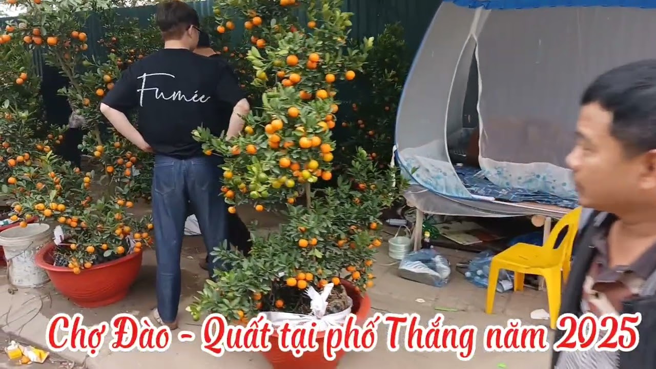 Buổi chiều 27/12 năm Ất Tỵ tại phố Thắng