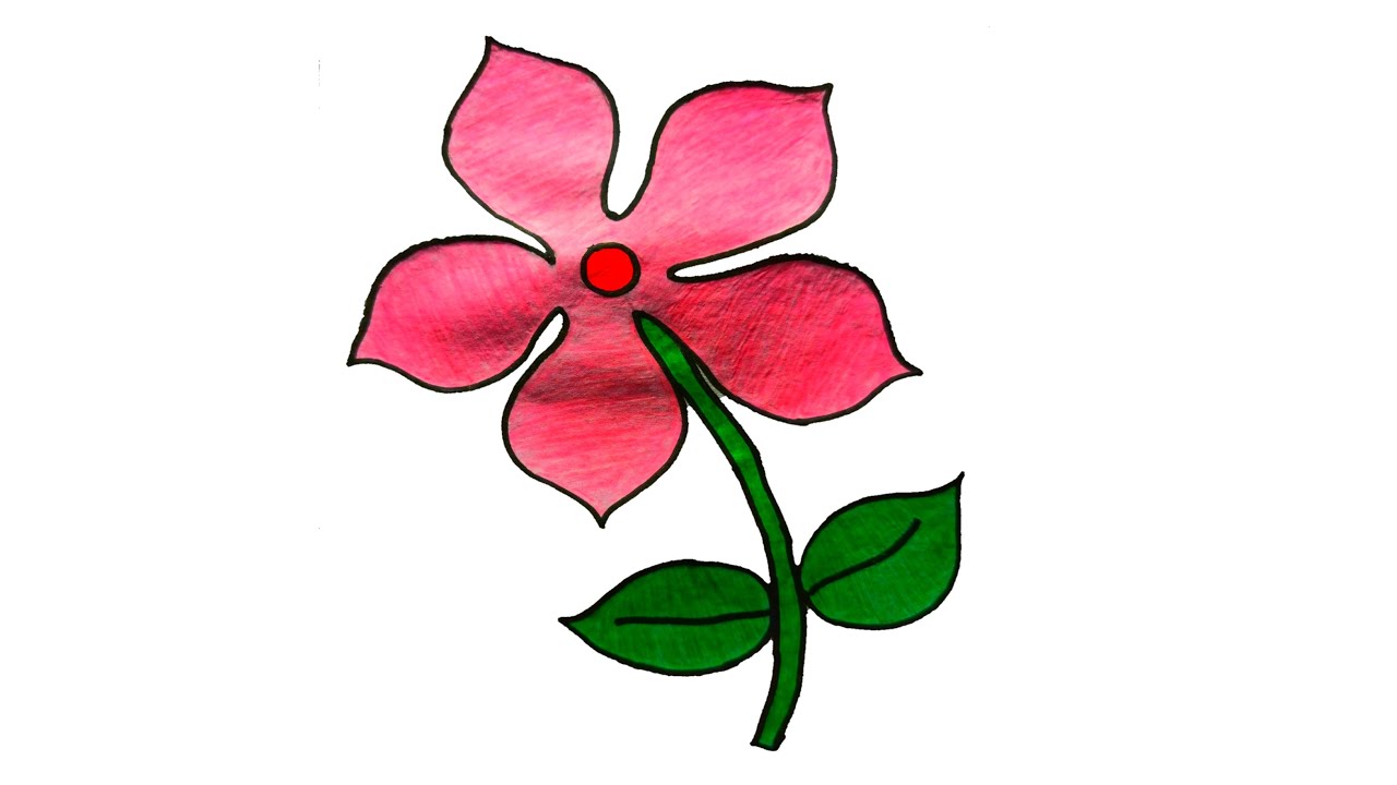 How to draw a periwinkle flower || barmasi flower drawing ||