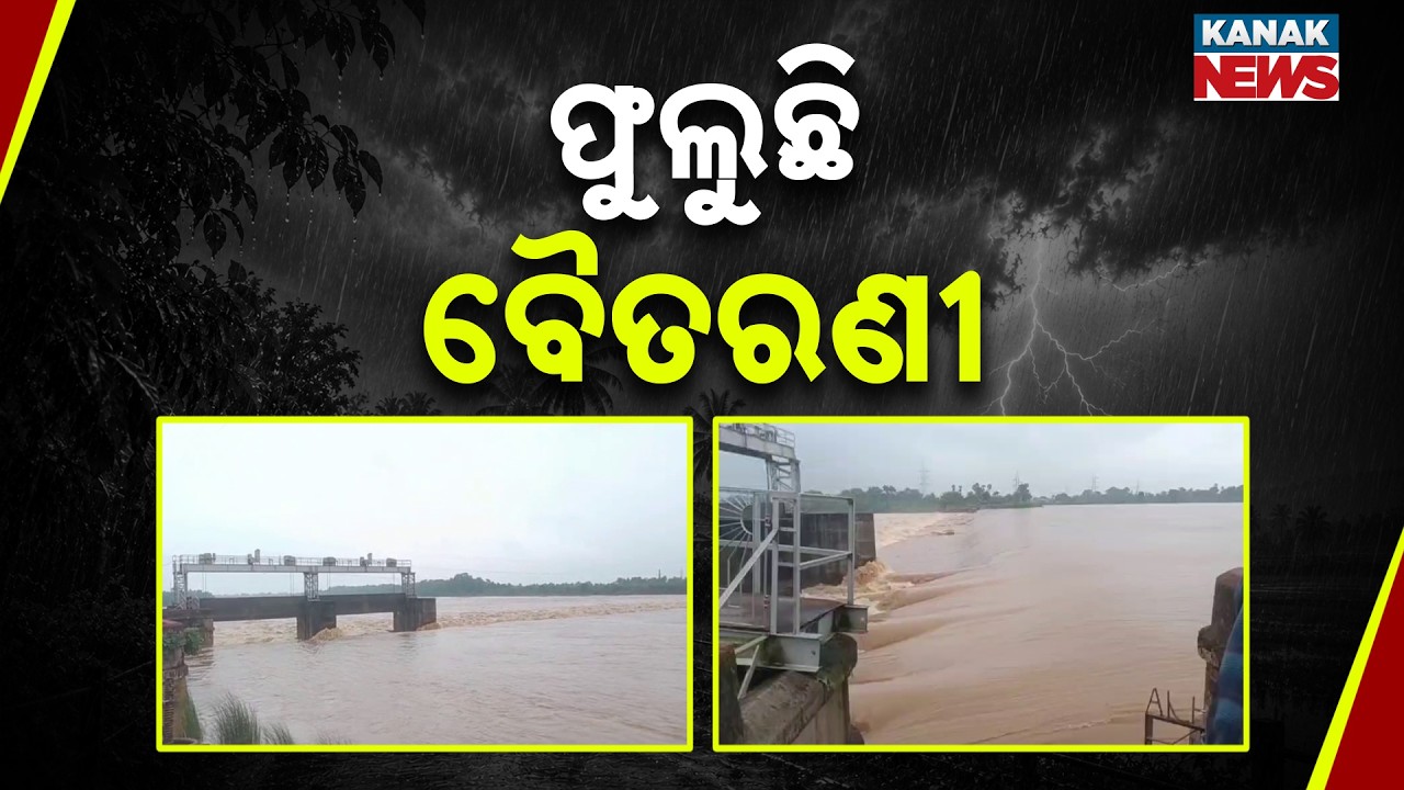 ଫୁଲୁଛି ବୈତରଣୀ | Baitarani Water Level Rises | Flood Fear Grows in Bhadrak
