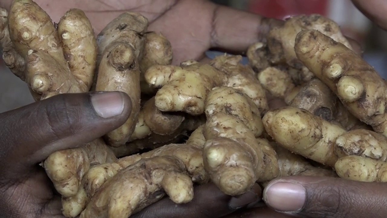 Ubuzima bwawe: Akamaro ka Tangawizi