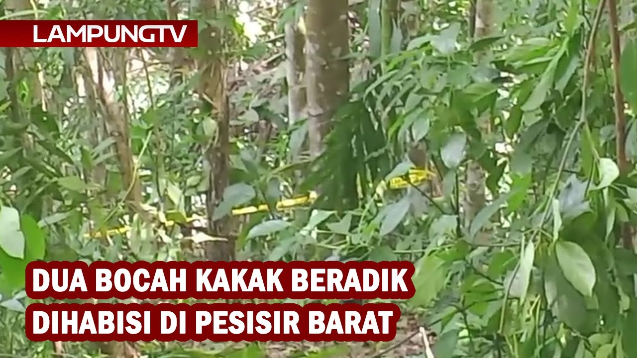 Dua Bocah Kakak Beradik Dihabisi di Pesisir Barat