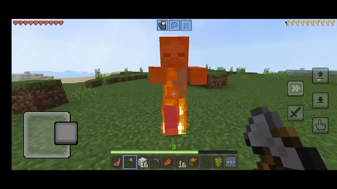 100 hari Minecraft part 2