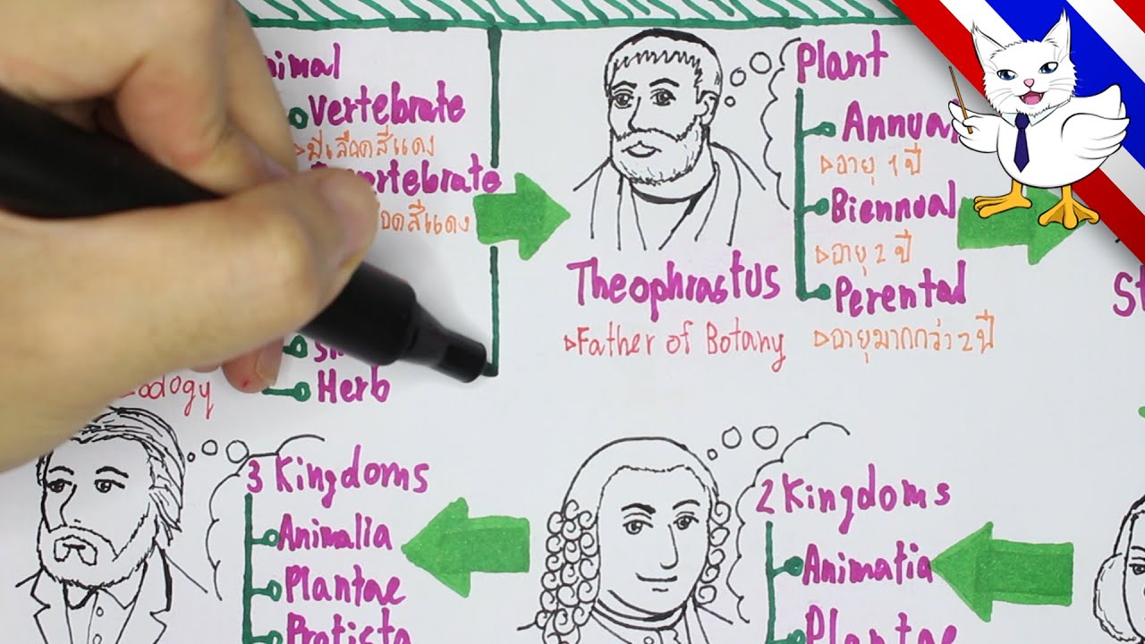 BioGraphia - การจัดหมวดหมู่สิ่งมีชีวิตและซิสเทมาติกส์