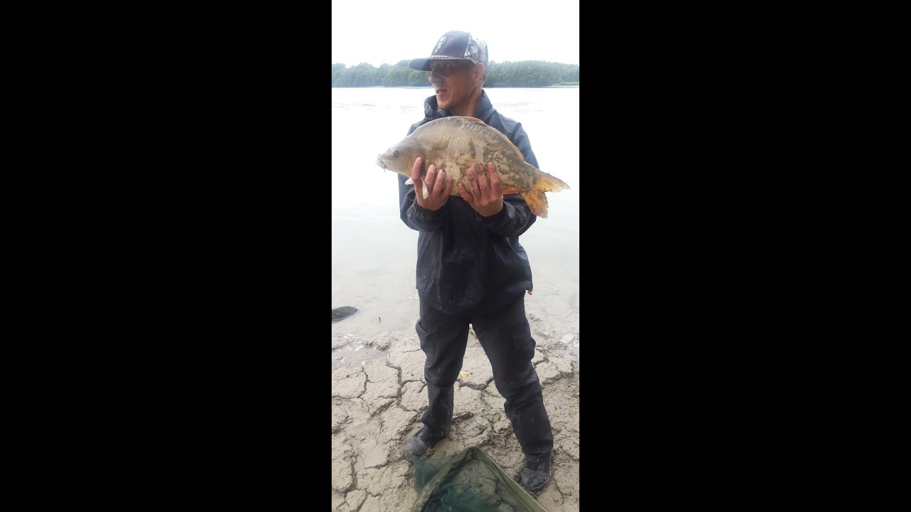 Dunai peca 1