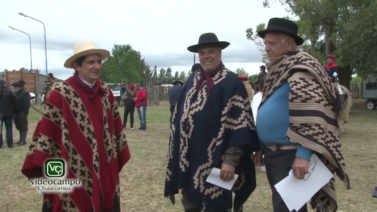 Expo Brandsen 2022 Caballos Criollos y Concurso de Aperos Criollos