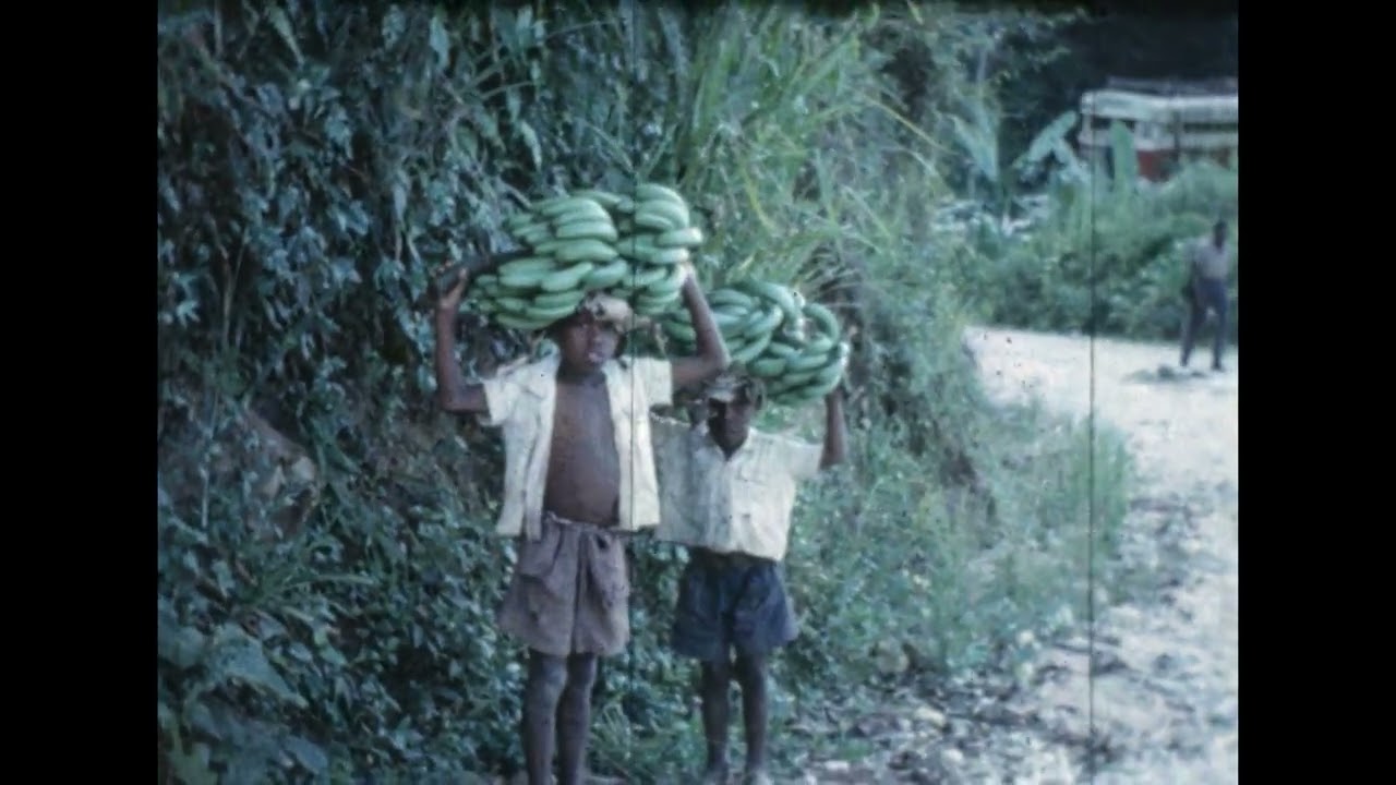 Voyage   Noce 1966