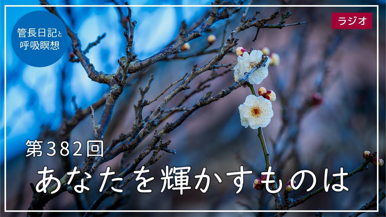 第382回「あなたを輝かすものは」2022/1/23【毎日の管長日記と呼吸瞑想】｜ 臨済宗円覚寺派管長 横田南嶺老師