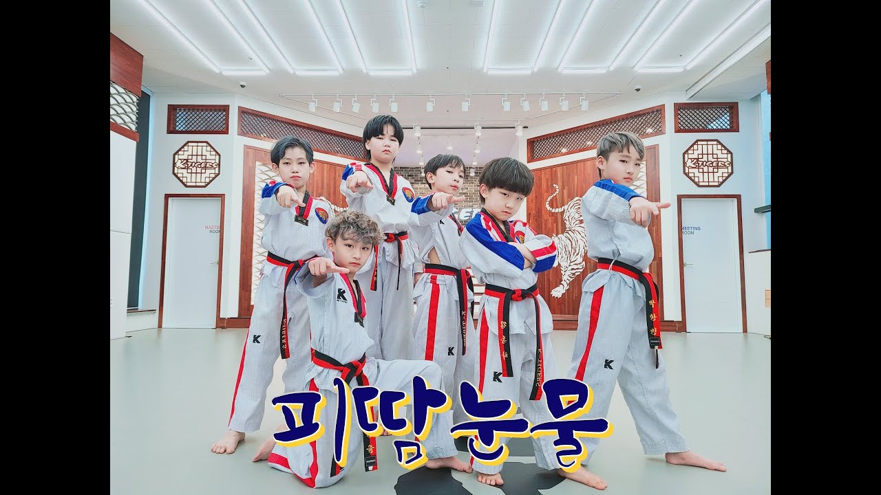BTS-피땀눈물 taekwondo ver./ K타이거즈 지금관