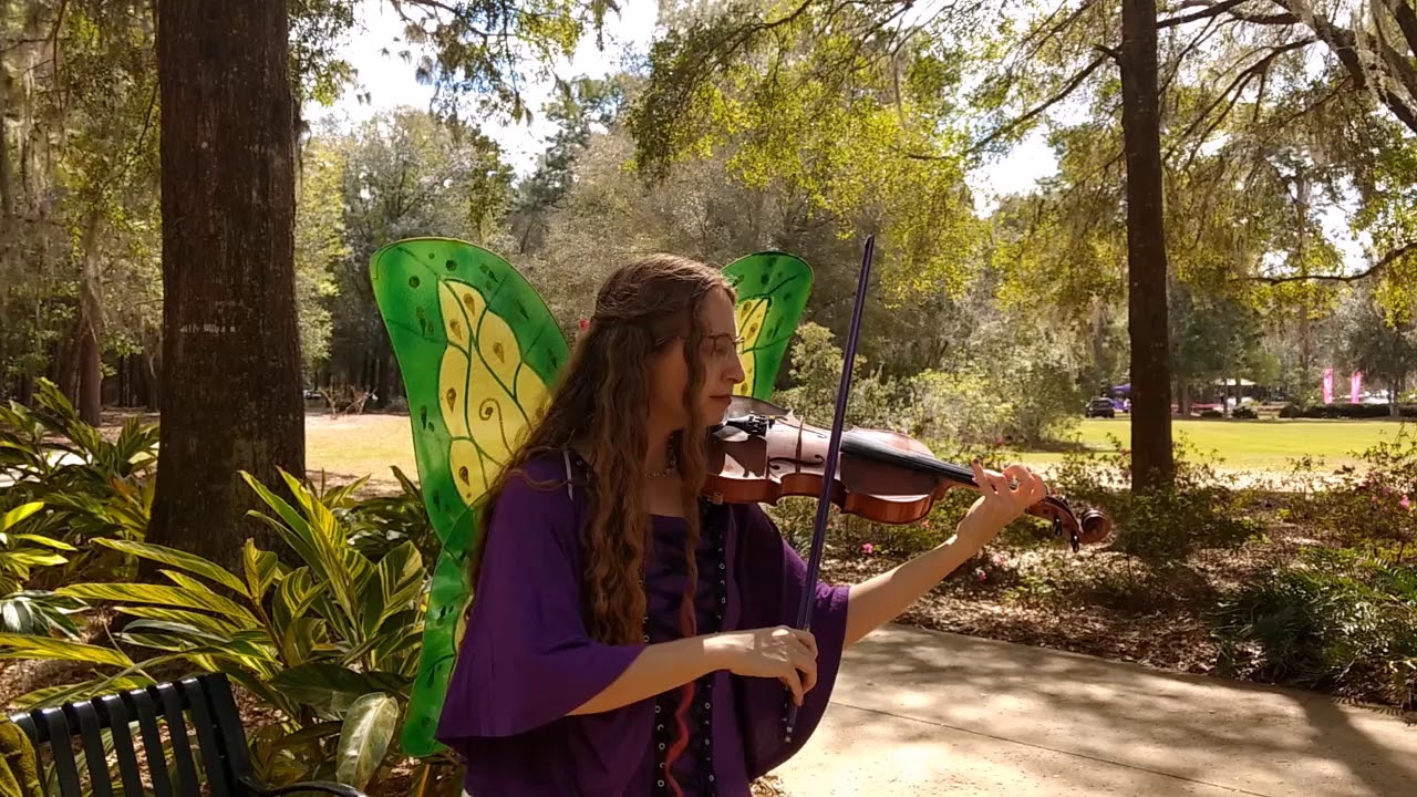Rakes of Kildare - traditional (played by the Fiddle Fairy)