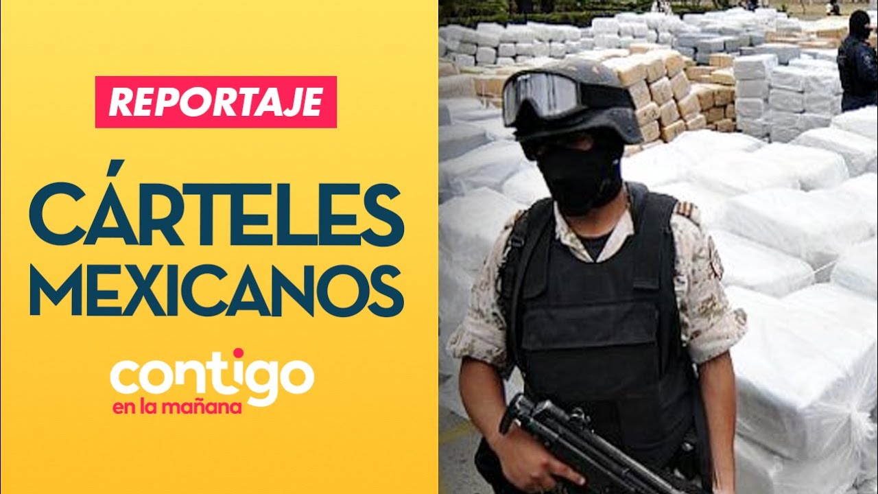 REPORTAJE | Los vínculos de los cárteles mexicanos en Chile - Contigo en La Mañana