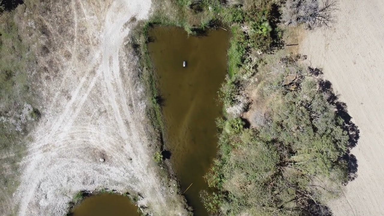 Bosque La Primavera desde el aire