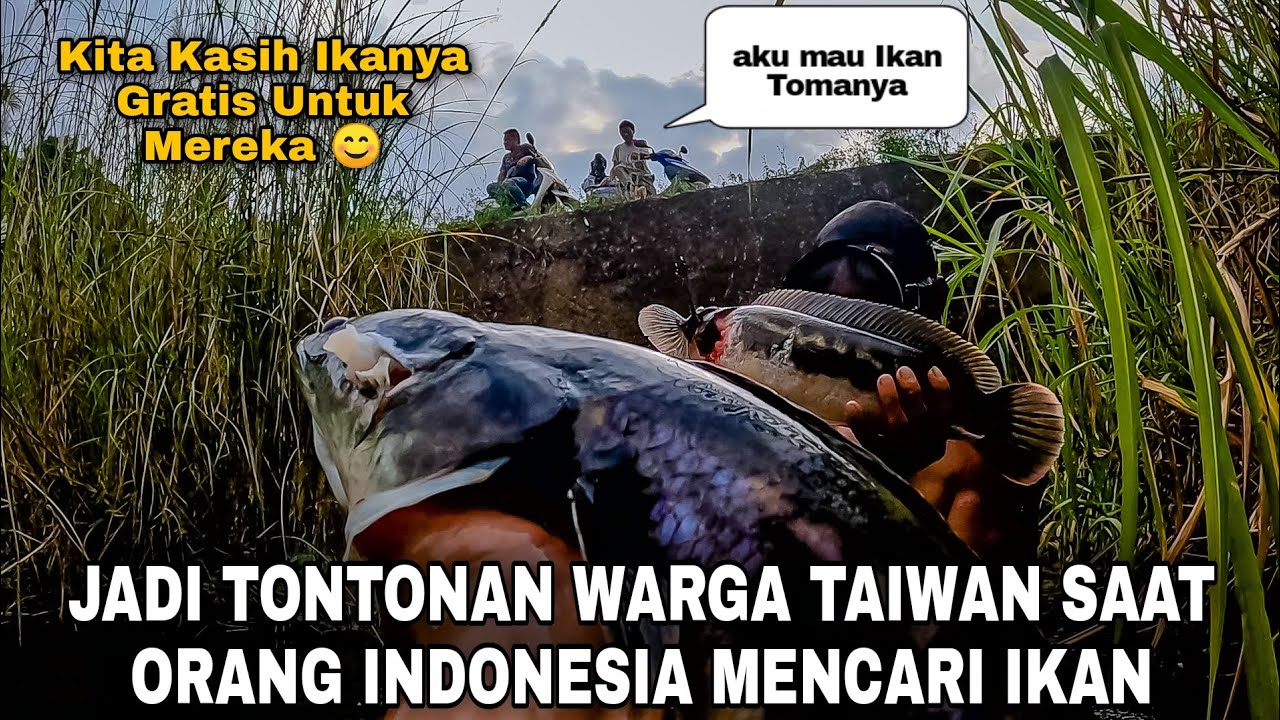 HEBOH !! ORANG INDONESIA JADI TONTONAN WARGA TAIWAN KETIKA MENCARI IKAN TOMAN