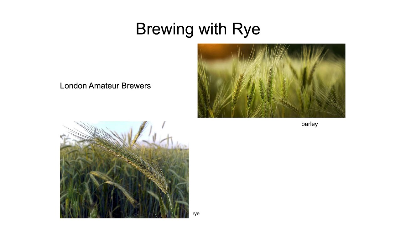Brewing with Rye