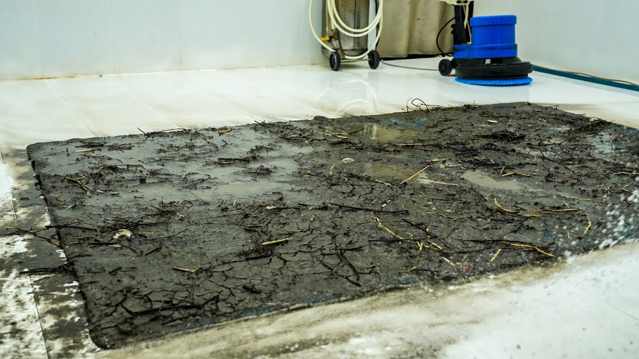 The Most Expensive Rug I've EVER Cleaned! - Watch the Luxury Transformation! - Carpet Cleaning