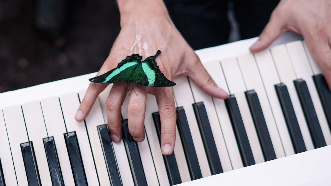 David Ianni & Honeck Quartett - Butterflies (MY URBAN PIANO Episode 8: Vienna)