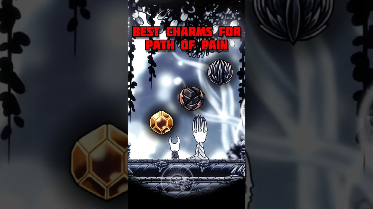 BEST charms for Path of pain #subscribe #like #hollowknight